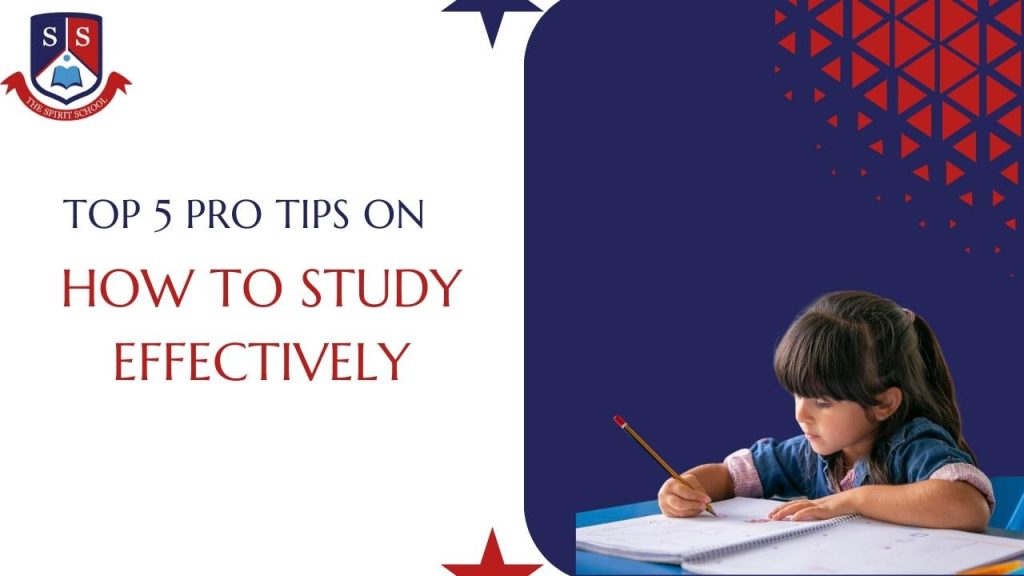 Top 5 Pro Tips On How To Study Effectively
